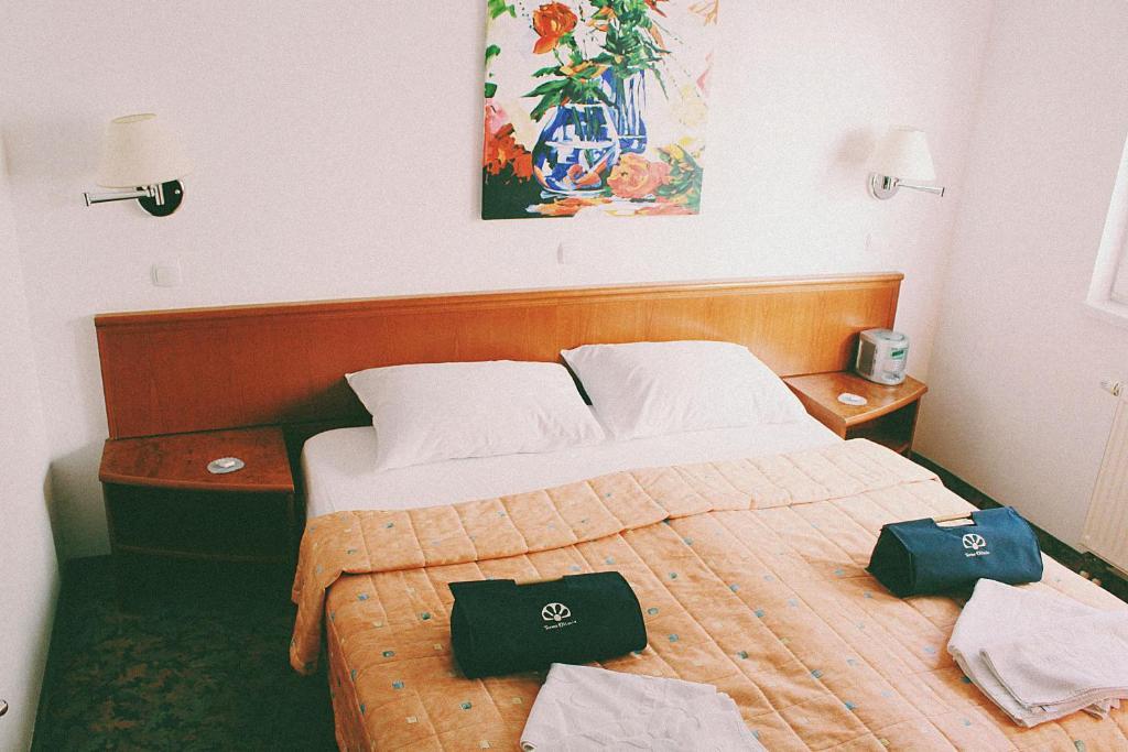 Terme Olimia - Aparthotel Rosa Podčetrtek Extérieur photo